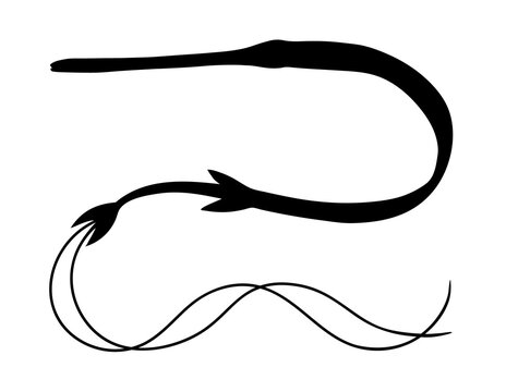 recommend clip art: Сornetfish. Hand drawn realistic black silhouette illustration.