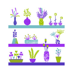 Set of hand drawn house plants. Vector illustration in flat style