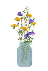 Naklejka na ściany i meble field yellow and purple flowers herbarium business card greeting card screensaver