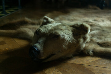 photo of stuffed bear on the floor
