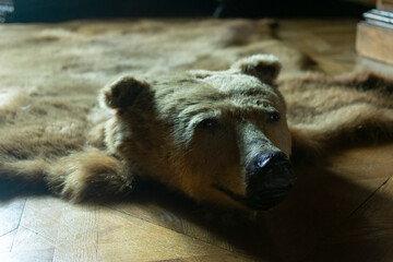 photo of stuffed bear on the floor