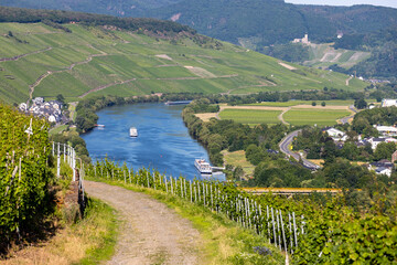 Scenic view on river Moselle valley with vineyard in  foreground