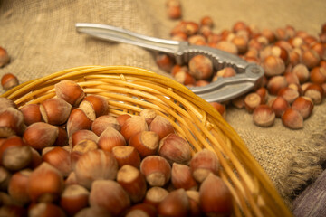 Hazelnuts in a wicker basket, a scattering of hazelnuts and a Nutcracker on the background of burlap with a rough texture. Close up.