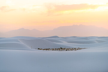 White sands national monument park hills of gypsum sand dunes and plants in New Mexico with Organ mountains silhouette on horizon during colorful yellow sunset - Powered by Adobe