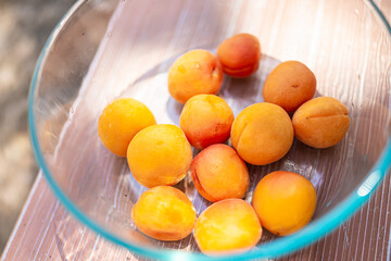 Apricots harvest picking ripe orange yellow fruit in glass bowl on picnic table macro closeup showing texture in sunlight