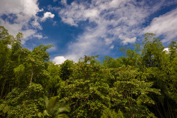 Colombian landscapes. Green mountains in Colombia, Latin America