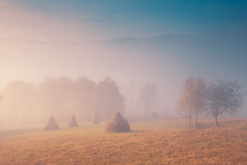 Beautiful dreamy autumn sunrise rural scenery. Haystacks and trees on a mountain hill with morning fog.