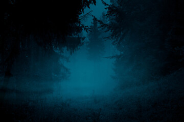 Fototapeta na wymiar Mysterious pathway. Footpath in the dark, foggy, autumnal, mysterious spruce forest.