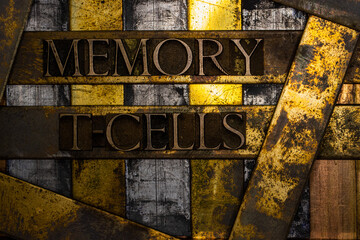 Memory T-Cells text formed with real authentic typeset letters on vintage textured silver grunge copper and gold background