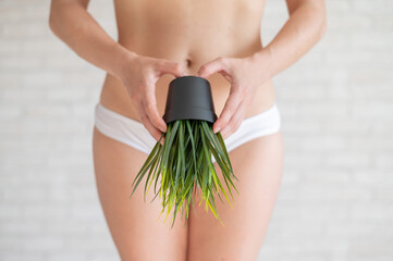 Bikini area depilation. Advertising Brazilian laser bikini line hair removal. A woman in white underwear is holding a potted plant. Epilation of vegetation in the intimate zone.