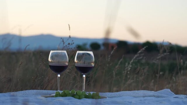 Two glasses of wine in the field. White picnic table cloth and grapes. A slight wind is blowing