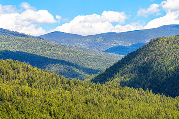 Fototapeta premium Carson National Forest above view with Sangre de Cristo mountains and green pine trees in summer and peak overlook from route 76 high road to Taos