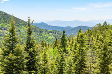 Santa Fe National Forest park with Aspen Vista Picnic area in Sangre de Cristo mountains with horizon and green pine coniferous trees in summer - Powered by Adobe