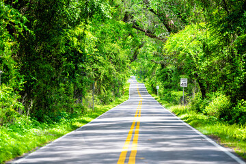 Tallahassee, Florida empty road with do not pass sign on Miccosukee scenic canopy street with nobody during day with southern live oak trees