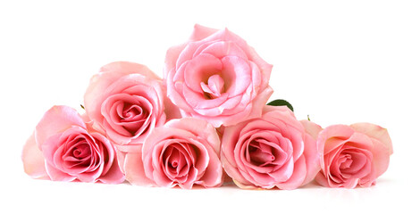 bouquet of pink roses isolated on white
