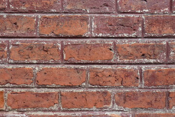 Obraz premium Mesmerized by a brick wall?