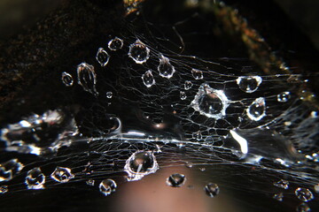 Dew drops on a spider web, in a corner of a step, abstract