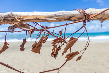 Beautiful beach in Yucun Park, Manzhou Township, Pingtung County, Taiwan