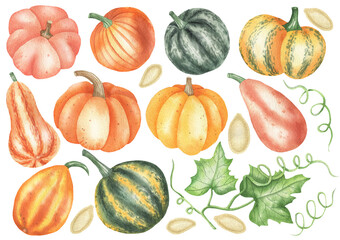 Set of pumpkins