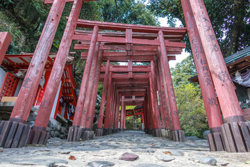 Cherry blossom season on spring at Yutoku Inari Shrine in Kashima, Saga prefecture, Japan