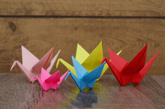 Colorful origami cranes on group