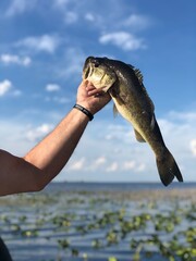Man  holding fish