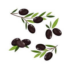 Set of black olives. Olive branches. Vector illustration for deisgn, patterns, wreaths, web, olive oil logo.