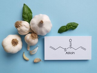 Structural chemical formula of allicin molecule with raw garlic. Allicin is an organosulfur...
