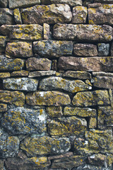 old stone wall covered in moss