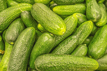 abstract background of fresh crispy cucumbers on the market close up