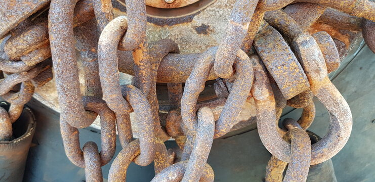 rusty Lifting shackle and chain 