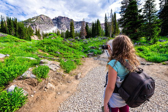 Albion Basin, Utah pine trees with woman taking pictures on summer Cecret Lake trail in 2019 in Wasatch mountains with rocky snow Devil's Castle mountain