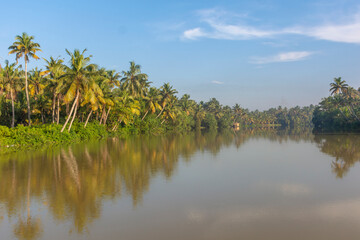 Beautiful landscape of Kerala's backwater