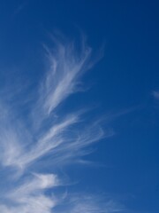 Chmury pierzaste cirrus na błękitnym niebie blue Sky