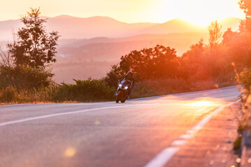 sunset in the forest