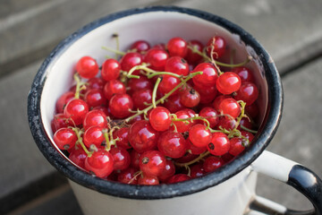 Close-up of a red currant in a white old cup. The concept of harvesting and vitamins