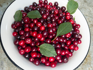 Red ripe cherries and leaves in a cup on the table