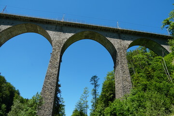 Sitterviaduct SOB, a railway bridge in front view and upward perspective. It belongs to St. Galler Bridge Hiking trail in Eastern Switzerland. It is surrounded by mixed forest.