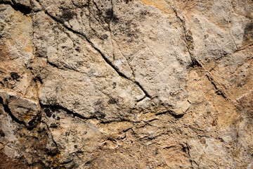 brown stone background with abstract shapes