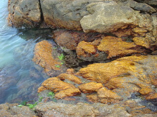 rocks in the sea