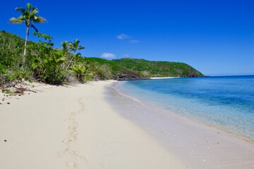 tropical beach with palm trees, Fiji