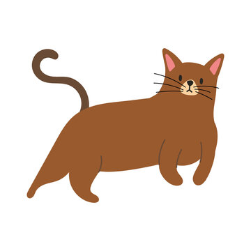 cute little cat pet hand draw style icon