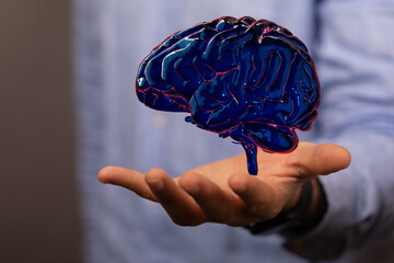human brain imagination learning and mind