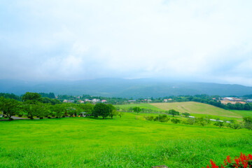 Obraz premium なだらかな丘のある高千穂牧場の風景