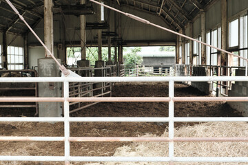 牛舎に何もいない風景素材