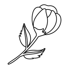 beautiful rose and leafs flower garden line style icon