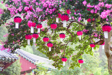 flowers and lanterns blooming on trees