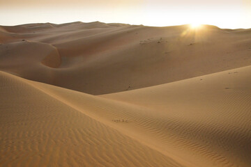 Fototapeta na wymiar Contours of sand dunes at Liwa, Abu Dhabi, United Arab Emirates