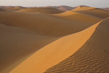 Fototapeta na wymiar Contours of sand dunes at Liwa, Abu Dhabi, United Arab Emirates