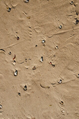 
stones on the beach